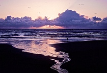 Beach Hiker at Sunset